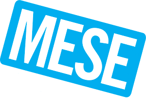 Mesenotizie la voce delle province a cura di La Fenice di Vito Genna (Pistoia, Prato, Firenze, Lucca, Pisa)