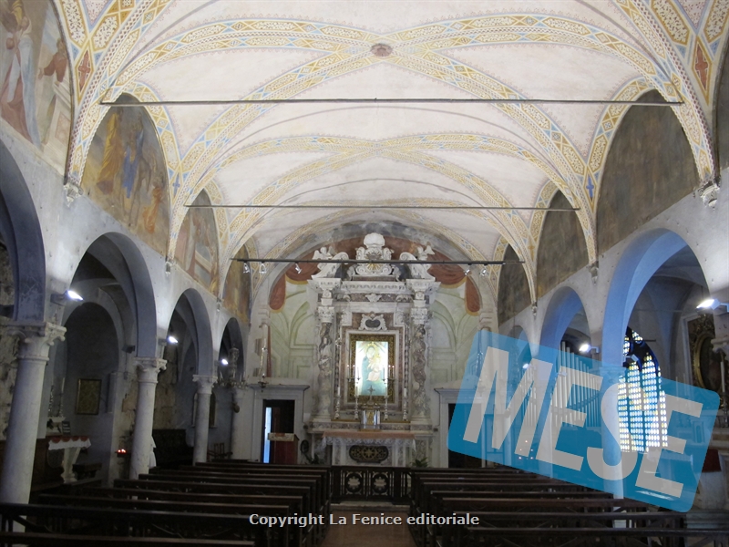 Animando, prende il via 