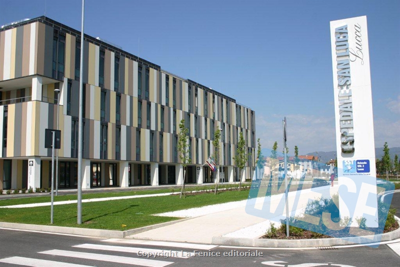 Lucca, Mercanti (Pd): 